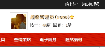 登录成功后顶部显示